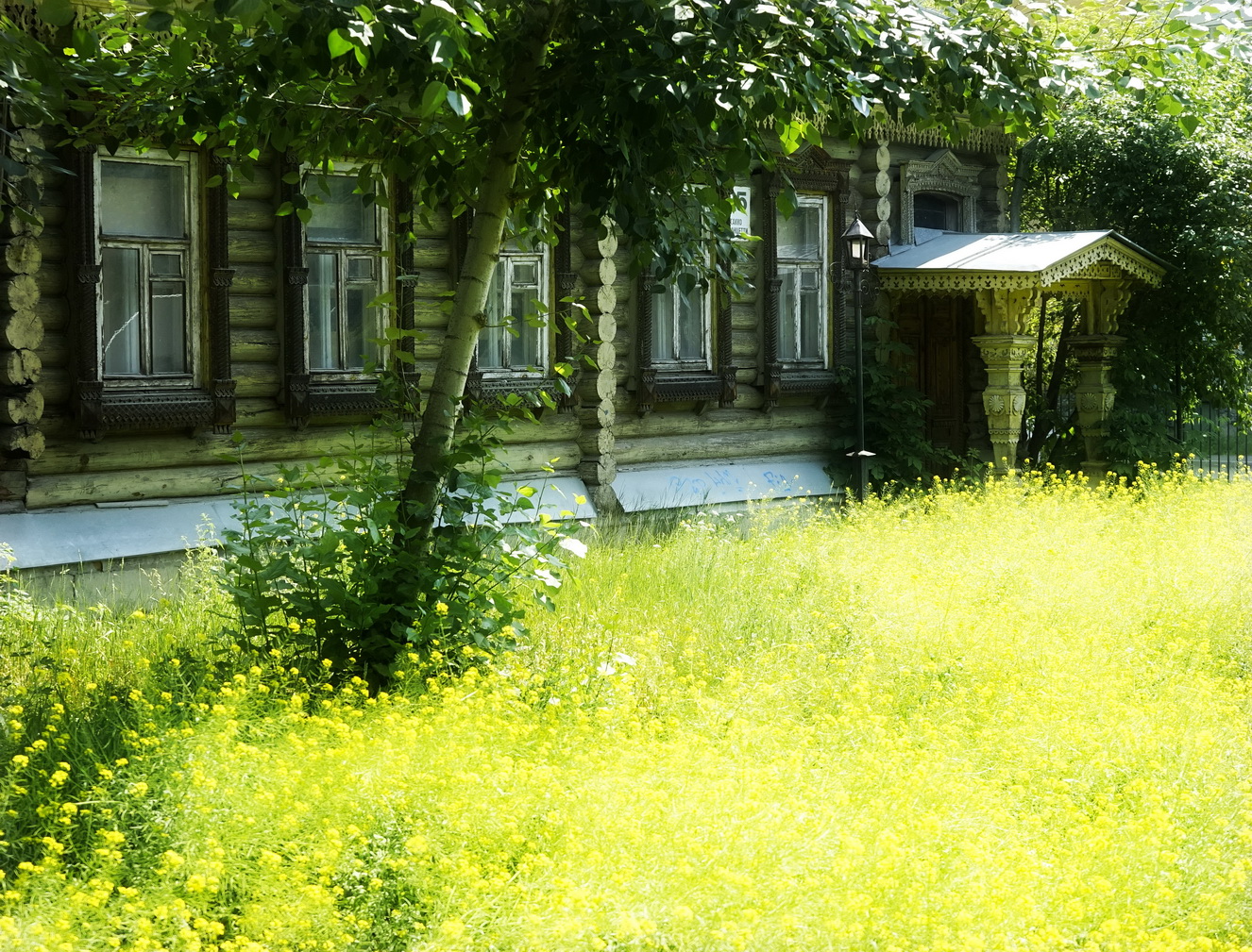 . Радость цвета. Жаркий день.JPG