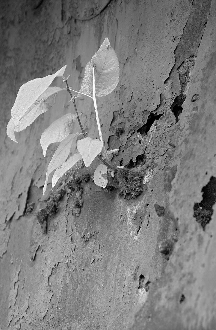 . On a siding. Untitled