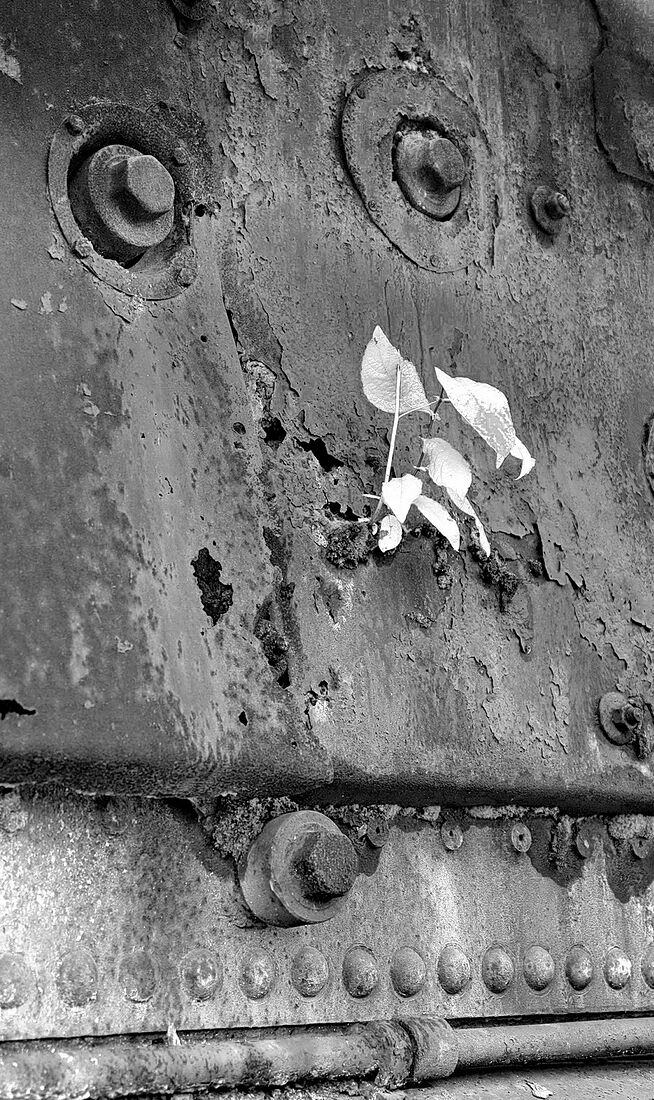 . On a siding. Untitled