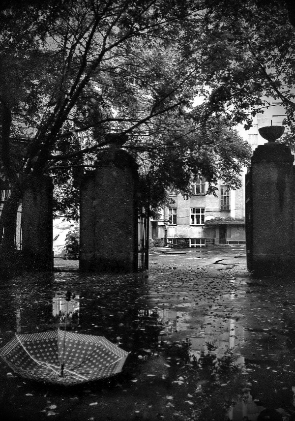 . landscapes in monochrome. После дождя.jpg