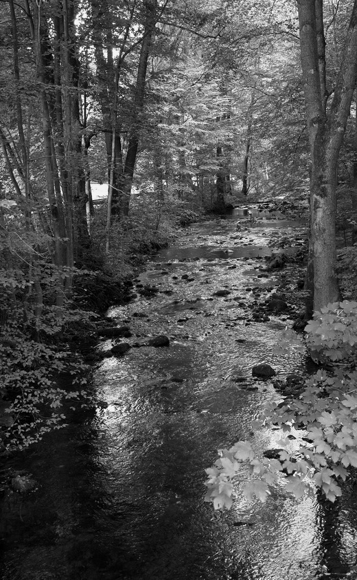 . landscapes in monochrome. Речка в Моравии.JPG